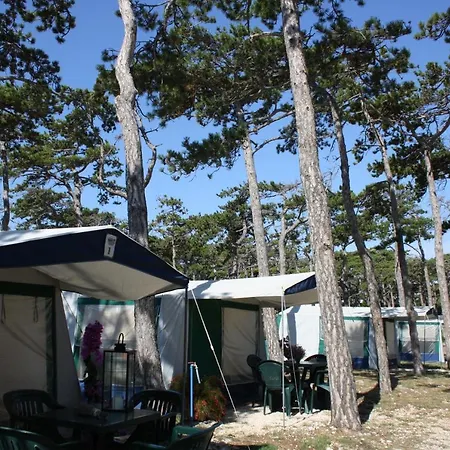 Camping Planik Holiday park Razanac