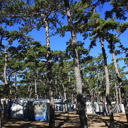 Camping Planik Village de vacances