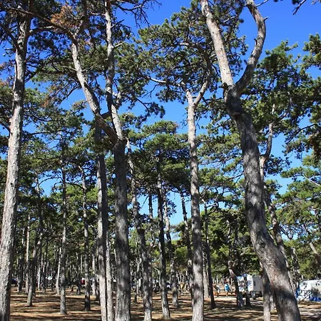 Prázdninový areál Camping Planik 3*