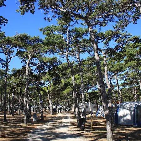 Camping Planik Holiday park 3*