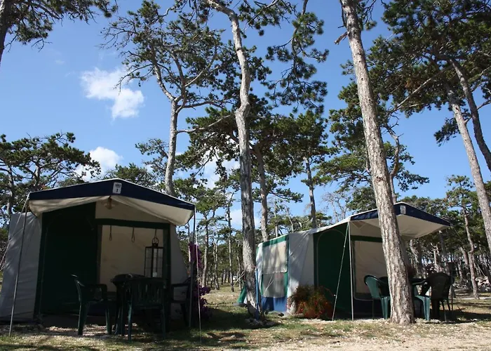 منتزه العطل Camping Planik 3*