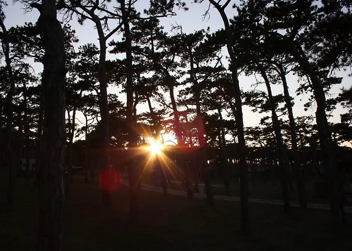 Camping Planik منتزه العطل Ražanac