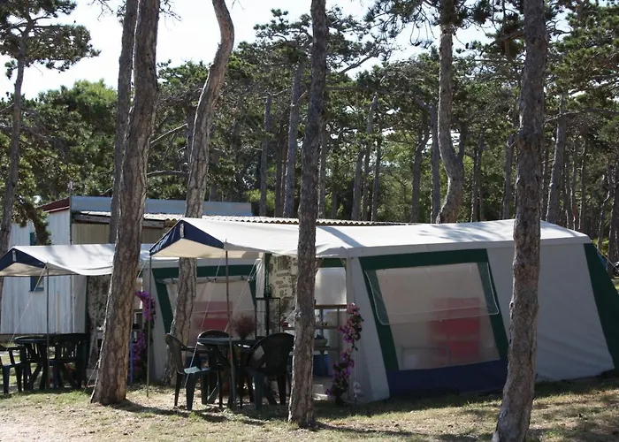 Camping Planik منتزه العطل