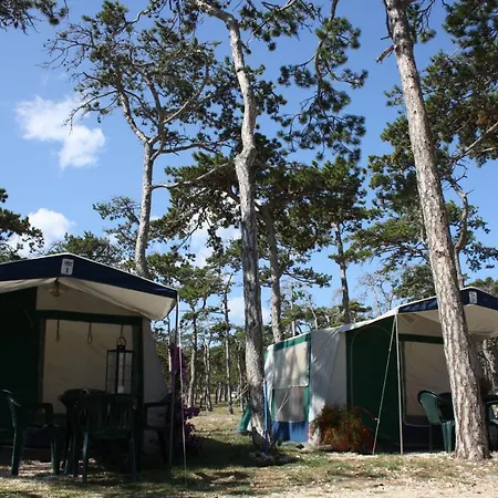 Prázdninový areál Camping Planik 3*