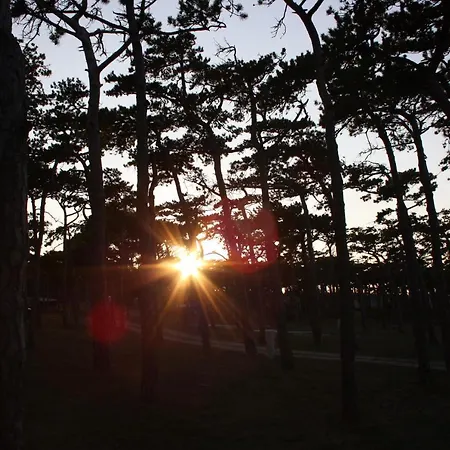 Camping Planik Holiday park Razanac