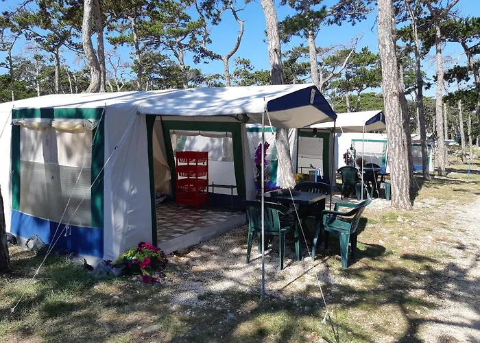 База отдыха Camping Planik
