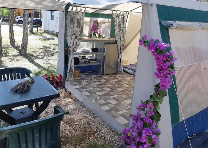 Camping Planik 3* Ражанац