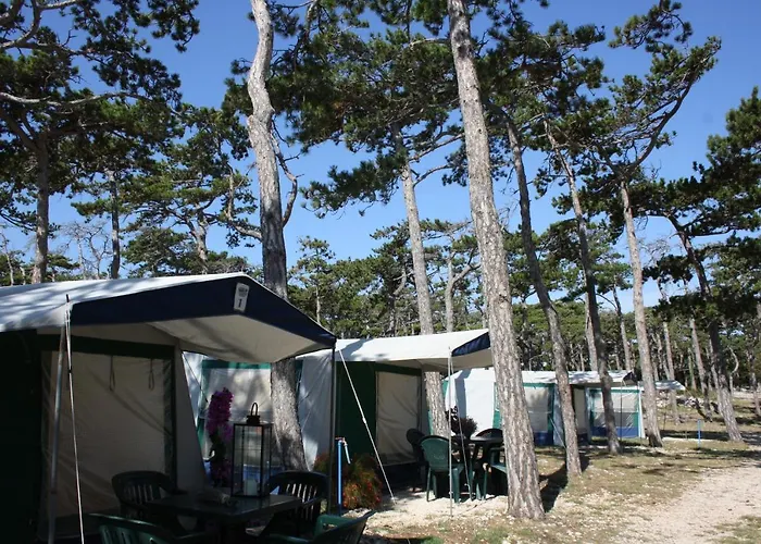 Camping Planik База отдыха Ражанац