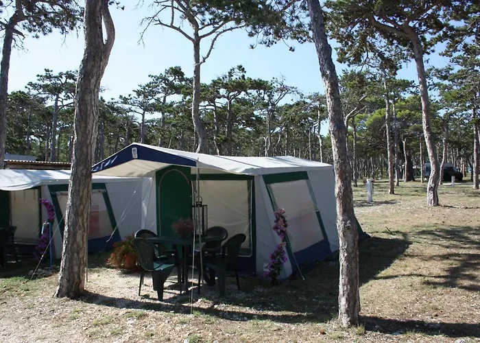 База отдыха Camping Planik Ражанац