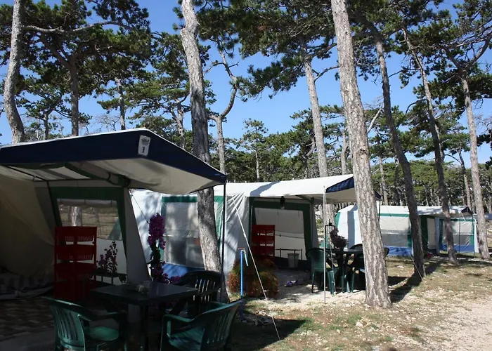 Camping Planik База отдыха 3*