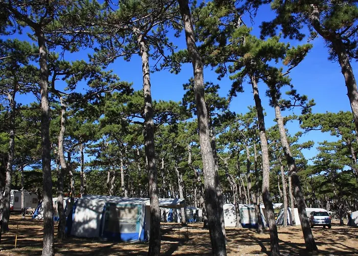 Camping Planik База отдыха