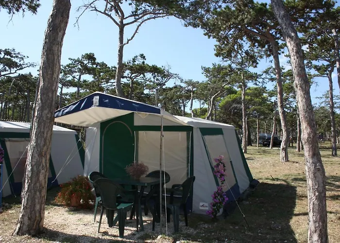 Camping Planik База отдыха Ражанац