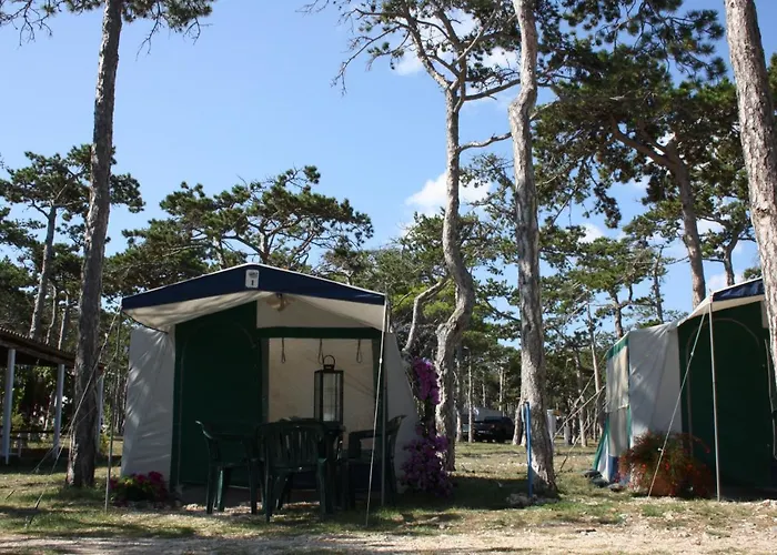 Camping Planik Üdülőpark 3*