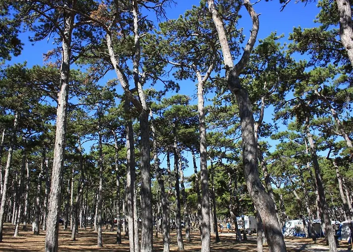 Üdülőpark Camping Planik 3*