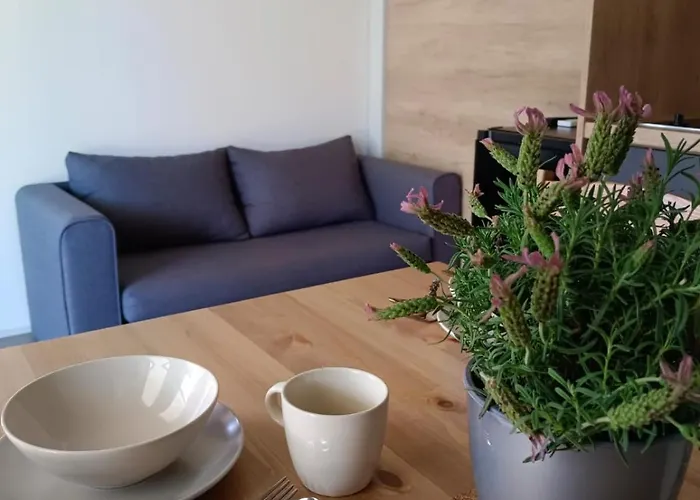 Camping Planik База отдыха Ражанац