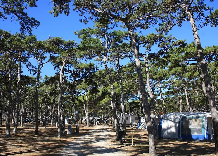 Camping Planik Üdülőpark 3*